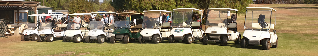 Carts2